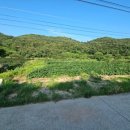 동읍스카이공인중개사사무소 이미지