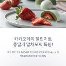 이마트24 수택중앙점 | 카카오페이 딸기 자르기 챌린지 성공하고 이마트24 통딸기 말차모찌 득템하는 법