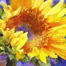 컬러풀 수채화 이미지