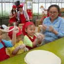 대관령 농장 이미지