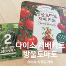 식목일 다이소 방울토마토 재배키트