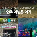 사계절아이스크림할인마켓 | 충주 100년의 역사 활옥동굴 투명카약 포토존 입장료 총정리