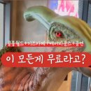 공룡게임장