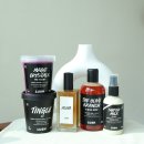 평화렛츠협동조합 | 2026 러쉬 프레쉬 세일 필수템 ! 세일 기간 러쉬 바디제품 추천템