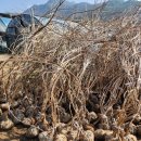 성원2농장 이미지