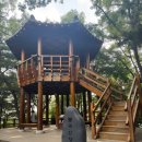 분당-136 이미지