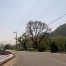 못찾겠다꾀꼬리 이미지