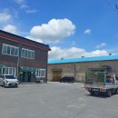 석성동헌 탱자나무 | 부여 석성동헌탱자나무