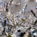 종숙농장 이미지