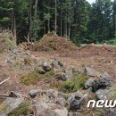 일도365의원 이미지