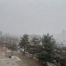 에이바헤어영통 네이버블로그