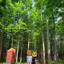 해파랑공원 이미지