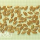 포스트푸드 이미지