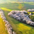 경인목장 이미지