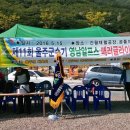 (자)정풍 이미지