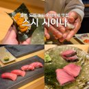 도쿄스시 | 일본 도쿄 자유여행 스시 오마카세 맛집 스시시이나 후기
