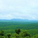 한국인농장 이미지