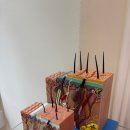 밀스칼프 이미지