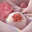 순수코스메틱 이미지