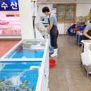(주)장터축산