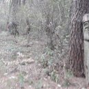 어산마을회관 이미지