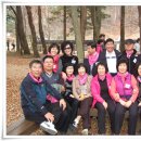 창용초등학교 이미지