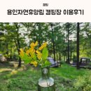 용인자연휴양림 캠핑장 샤워실 공사 후 이용후기