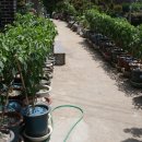 다마내기 이미지