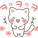 삼봉태권도 이미지