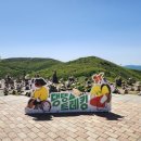 댕댕플래닛 | 점점 아쉬워지는 댕댕트레킹(2024) 참가후기