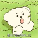 (주)옥천현대서비스 | 옥천 청양 부여 골퍼가 찾은 브리지스톤 V300 IX 솔직후기