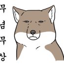 시골닭 농장 이미지