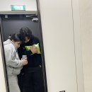 세이스테이 이미지