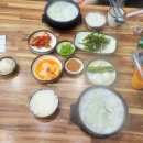 진정국밥 | ​[대구 칠곡 맛집] 국밥 마니아의 심장을 뛰게 한 '장수국밥' 돼지국밥 리얼 후기