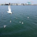 금곡3리 이미지