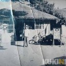 하나약업사 쿠키뉴스