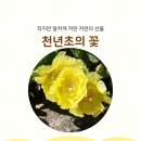 김윤식농장 이미지