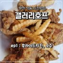 갤러리호프 이미지
