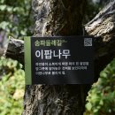 장지공원 화장실 이미지