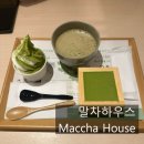 말차하우스 | 일본 여행에서 꼭 들러야 할 디저트 맛집, 말차하우스 방문 후기