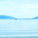 송지호오토캠핑장 이미지