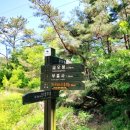 경주 남산 포석정 부흥사 늠비봉5층석탑