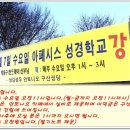 아페시스 Daum카페