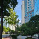 당고개 순교성지 | [용산 나들이] 당고개 순교성지 하늘공원 산책하며 토스 포인트 받기