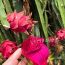 용화농장 이미지