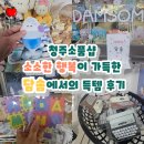 행복이 가득한 수약국 | 청주소품샵 소소한 행복이 가득한 담솜에서의 득템 후기