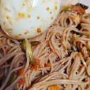 베이비독 이미지