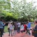 원화중학교 Daum카페