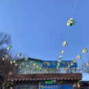 환경로 | 김천 짬뽕 중식 맛집 [짬뽕먹는날] 탕수육 매운해물짜장까지 제대로 먹고 온 후기