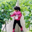 한솜농장 이미지